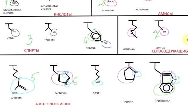 как запомнить аминокислоты смотреть онлайн