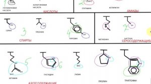 как запомнить аминокислоты