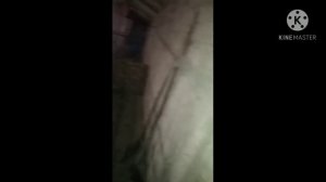 Дешёвый Свинарник Размером 25-10 и 12-5 Просто ,дёшево ,Сердито