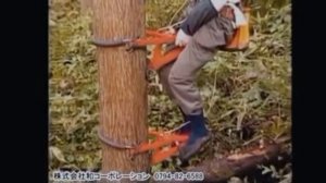 Как лазить по деревьям и столбам.