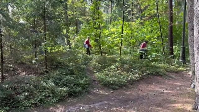 Я в восторге от Репино. Пенаты художника Ильи Репина. Великолепный Финский залив.