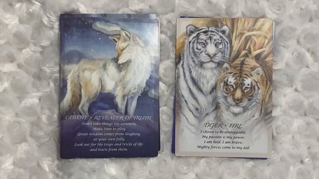 June 11, Animal Oracle Reading for All signs смотреть онлайн