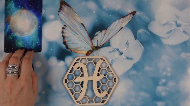 РЫБЫ. ИЗ ГУСЕНИЦЫ В БАБОЧКУ ИЛИ СТАДИИ СЕПАРАЦИИ. #бабочка, #метаморфоза, #сепарация, #рыбы