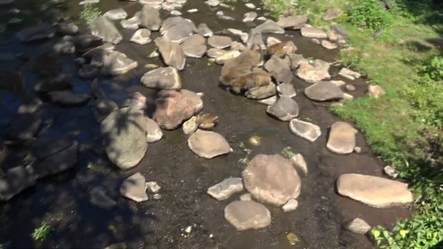 АФРИКАНСКОЕ САФАРИ. ИЗ ЗАНЗИБАРА В НАСТОЯЩУЮ АФРИКУ. Танзания 2021, Озеро Маньяра смотреть онлайн