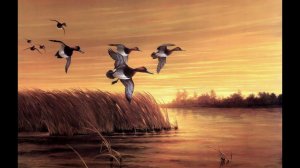 BULT - hunting simulator, вечерка.