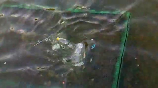 Воронка из Бутылок смотреть онлайн