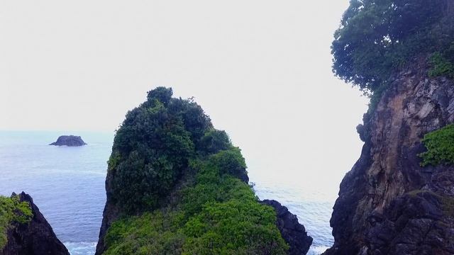 UJUNG KULON, WEST OF JAVA ISLAND, INDONESIA смотреть онлайн