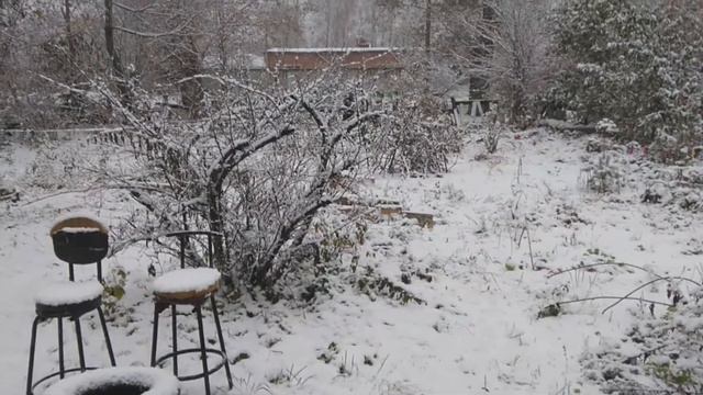 Снег кружится летает смотреть онлайн