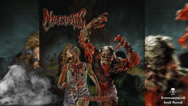 ➤ NECROTIC - Asesino Sin Control-☠(𝐓𝐑𝐀𝐂𝐊 𝐏𝐑𝐄𝐌𝐈𝐄𝐑𝐄 𝟐𝟎𝟐𝟒)☠ смотреть онлайн