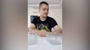 Умственная отсталость. Был абсолютно здоровым