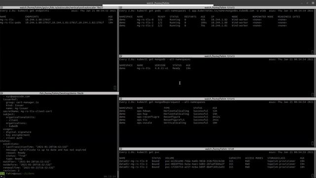Run Production Grade MongoDB Database on Kubernetes using KubeDB смотреть онлайн