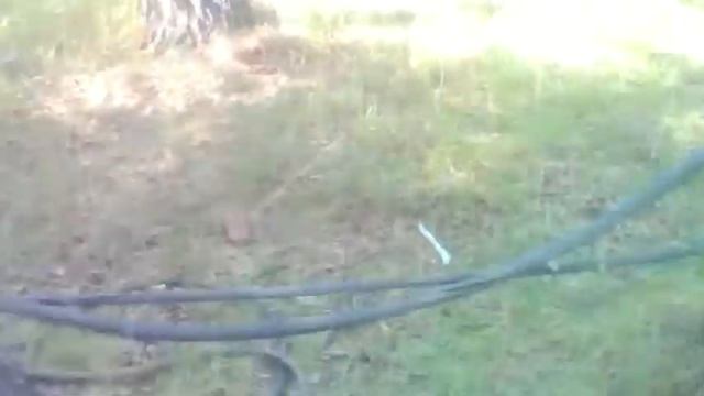 Самодельная качалка с использованием резины / Бицепс, трицепс, плечи смотреть онлайн