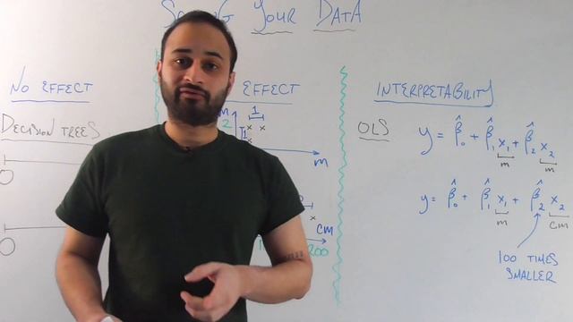 Should You Scale Your Data ??? : Data Science Concepts смотреть онлайн
