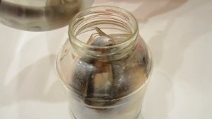 Как засолить малосольную рыбу пелядь в рассоле.