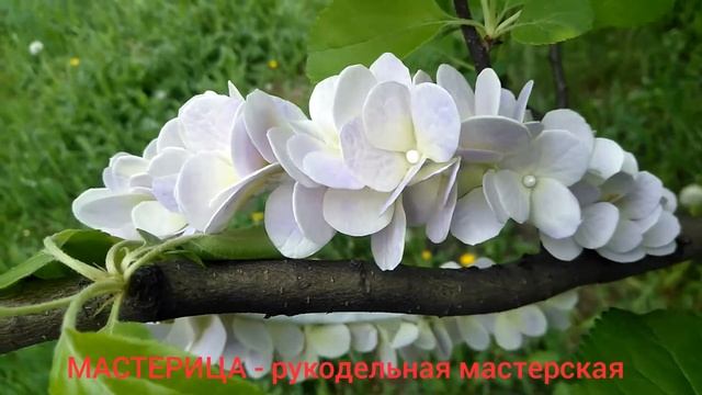 Ободок-венок с цветами гортензии из фоамирана смотреть онлайн