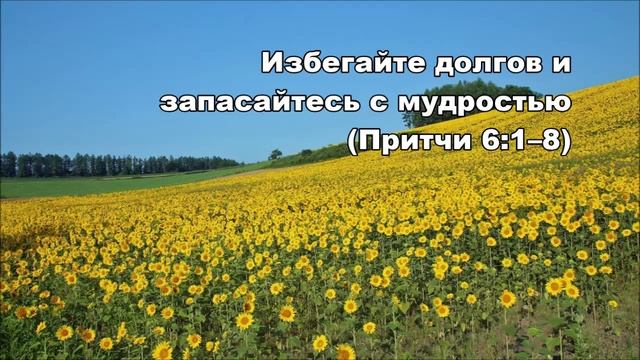 26.08.2015 Лень - это глупость (Притчи 6:1-19) смотреть онлайн