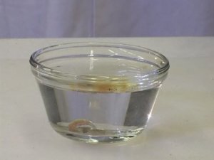 Химия. Опыты. Неорганика. Гидролиз фосфида кальция