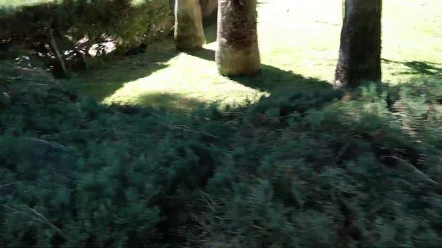 FUN & SUN FAMILY CLUB SAPHIRE 5* (30.10.2022) смотреть онлайн