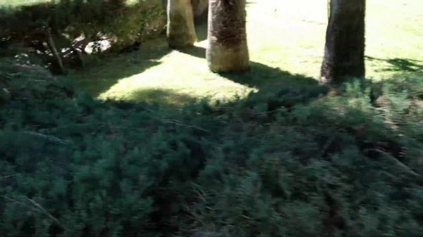 FUN & SUN FAMILY CLUB SAPHIRE 5* (30.10.2022)