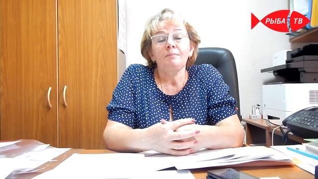 Как получить льготы на школьное питание смотреть онлайн