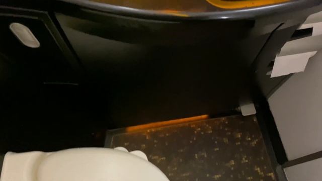 ETIHAD AIRWAYS|BUSINESS CLASS |B787-10|BANGKOK-ABU DHABI|TRIP REPORT