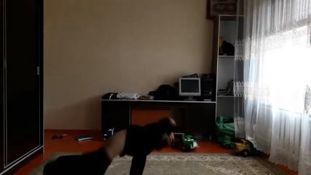 Как сделать сальто назад смотреть онлайн