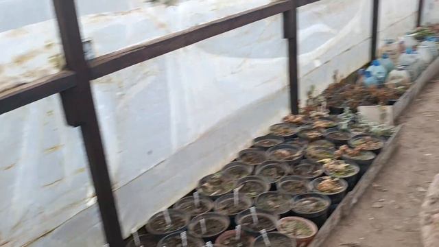 Була в гостях у подруги Олі. Хоч насміялися вдвох. смотреть онлайн