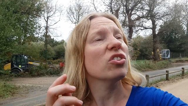 Steeneik (Quercus ilex) herkennen смотреть онлайн