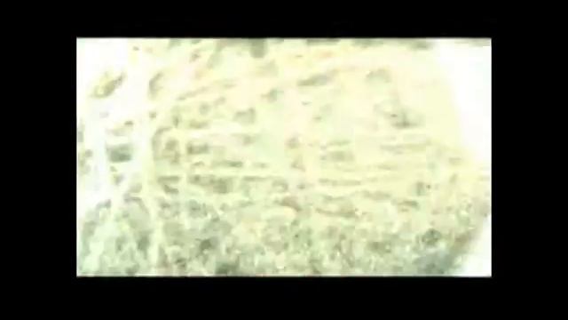 the BEAT POP смотреть онлайн