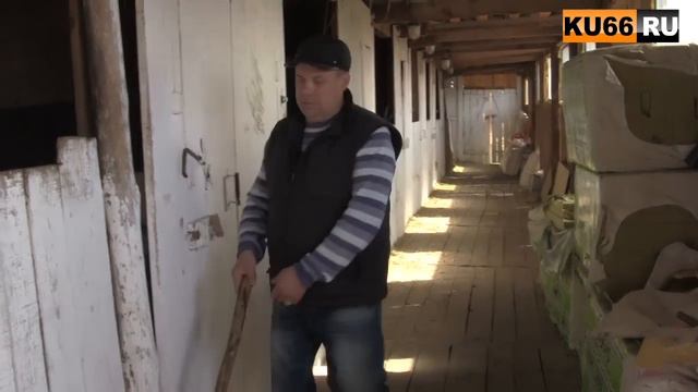"Каменский дворик" приглашает смотреть онлайн