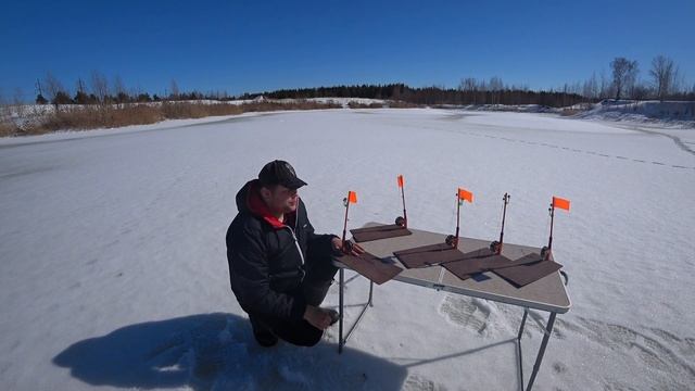 Жерлицы роботы самоподсекающие!