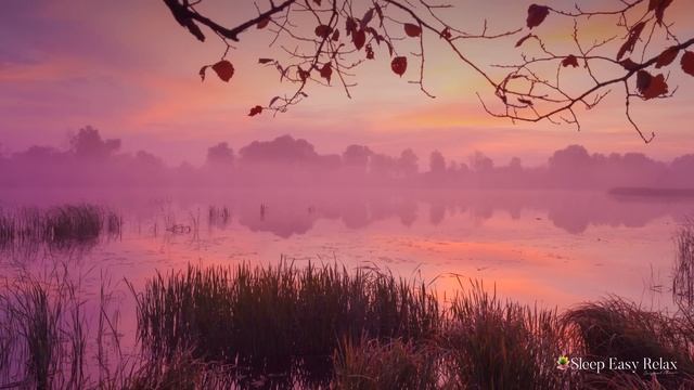 Healing Instant Calm, Beautiful Relaxing Music for Sleep, Stress and Anxiety Relief ★ 47 смотреть онлайн