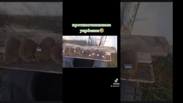 противотанковые ёжики ? смотреть онлайн