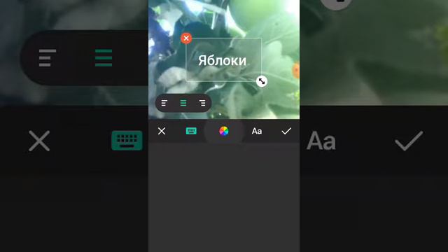 Обзор приложения inshot смотреть онлайн