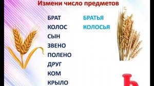 1-2 класс Разделительный мягкий знак