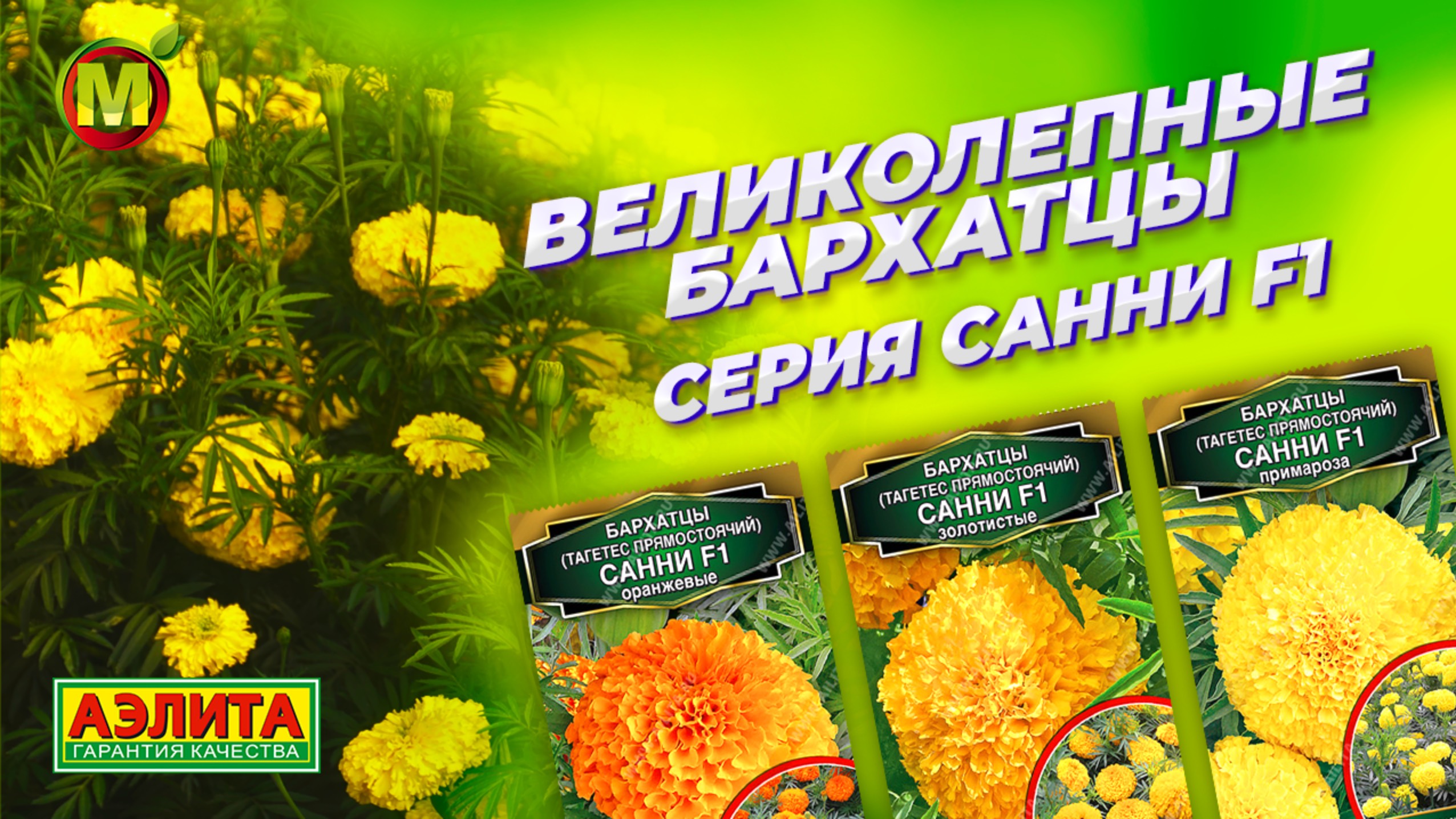 Великолепные БАРХАТЦЫ из серии САННИ F1 смотреть онлайн