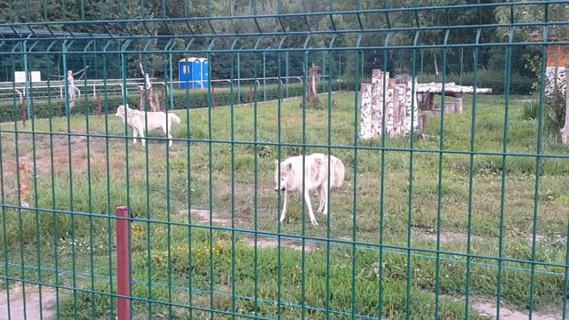 Белгородский зоопарк (Часть 1) смотреть онлайн