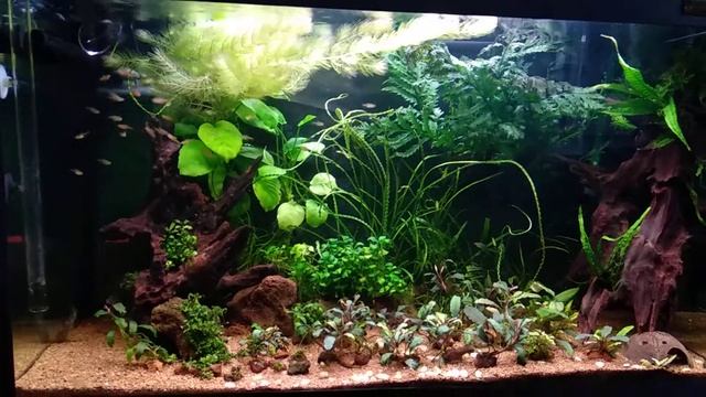 Теперь так..)Тетра Аманда смотреть онлайн