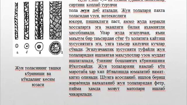 Tabiiy Va Kimyoviy Tolalar