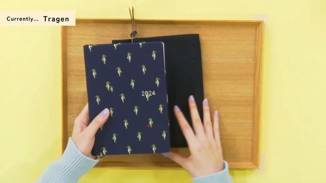 Introducing the Hobonichi Techo 2024 Spring Lineup! смотреть онлайн