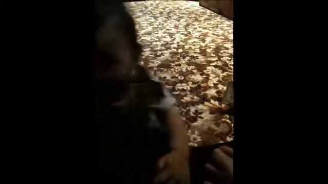 Топ топ топает малыш :) смотреть онлайн