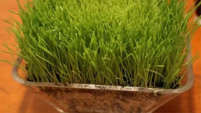 Энергетический напиток Тави Энерджи смотреть онлайн