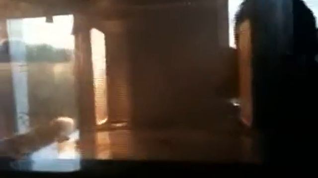 Виноградина в микроволновке смотреть онлайн