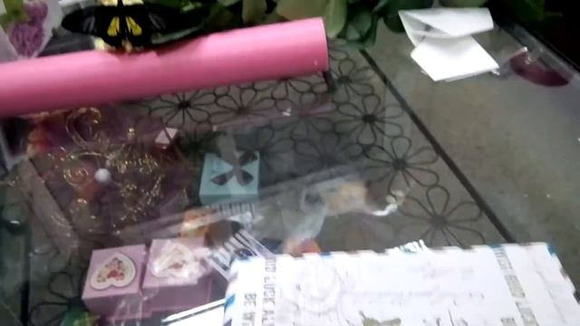 Бабочки в коробке с розами смотреть онлайн