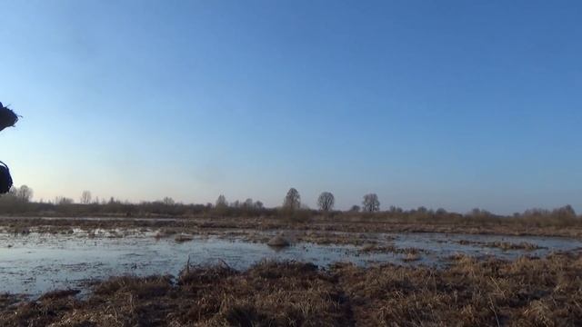 ОХОТА НА ГУСЯ С ЭЛЕКТРОМАНКОМ МИНСК 1. Гусиная охота на разливах 2021 смотреть онлайн
