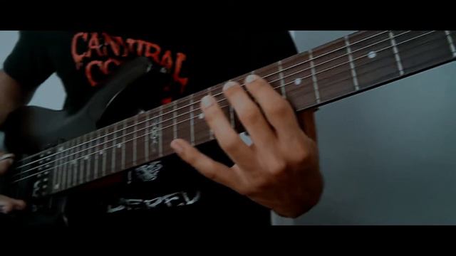 Deftones - You've Seen The Butcher (Guitar Cover by Ralv) смотреть онлайн