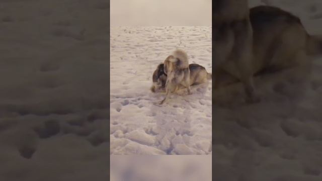 Подкат смотреть онлайн