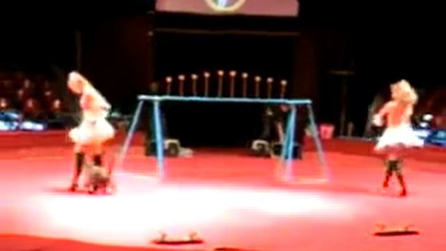 Cats Дрессированные кошки смотреть онлайн