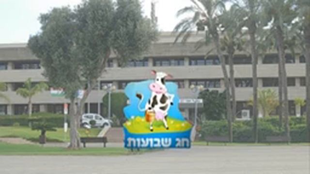 Сельское хозяйство в Израиле смотреть онлайн