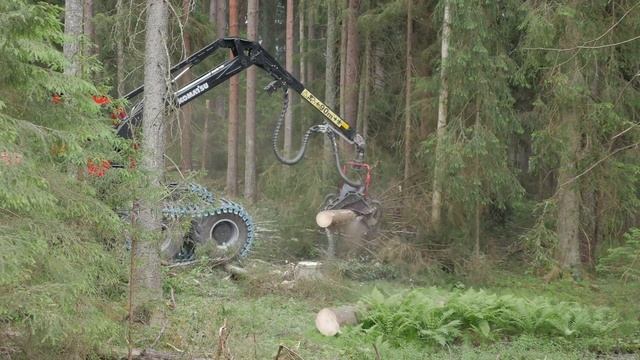 Komatsu 951 med C144 grov slutavverkning (4k) смотреть онлайн